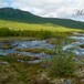 Kvenna starter inne på Hardangervidda ved Litlos og renner ut i Møsvatn like ved Mogen Turisthytte