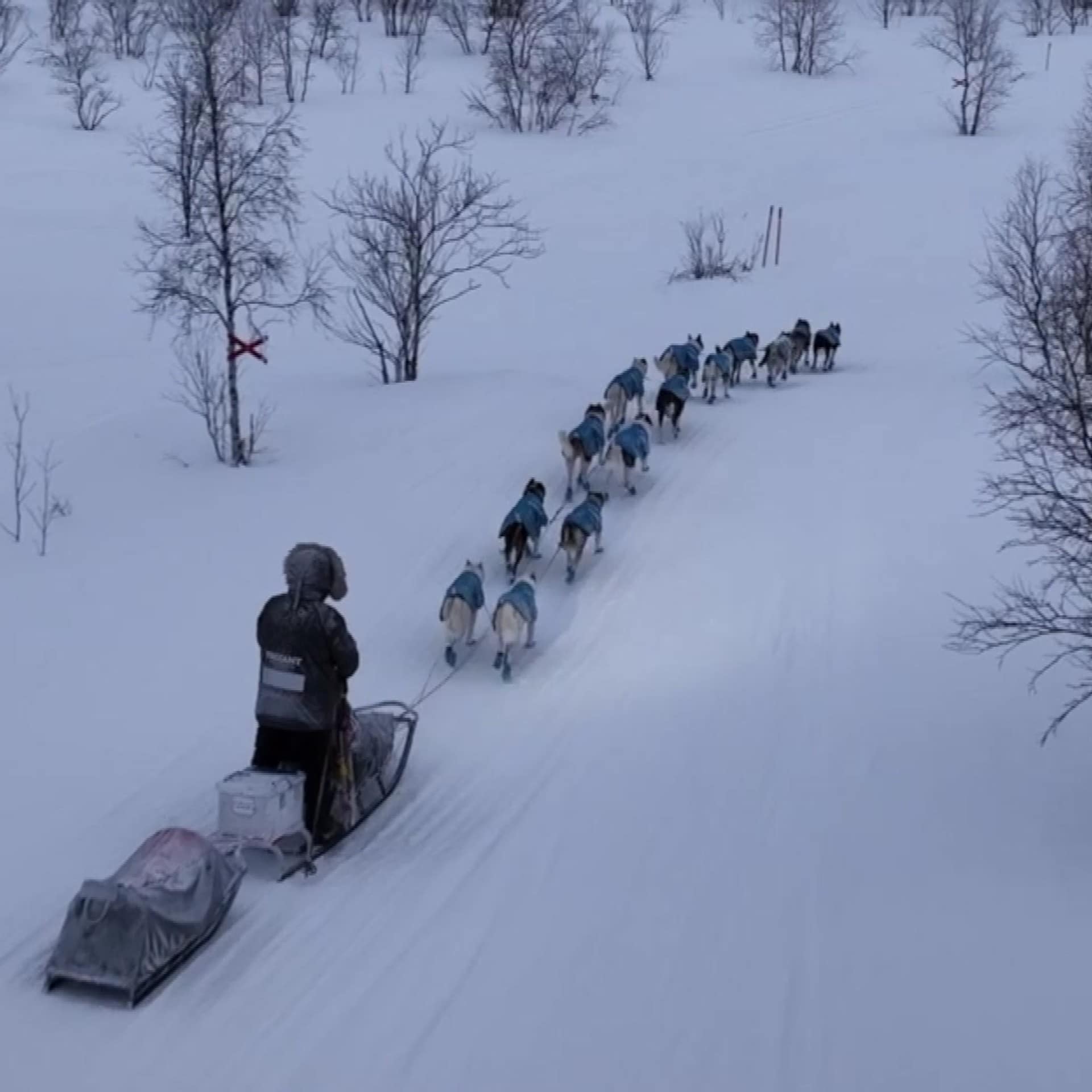 Harald Tunheim har startet mot Varangerbotn – NRK Sport – Sportsnyheter ...