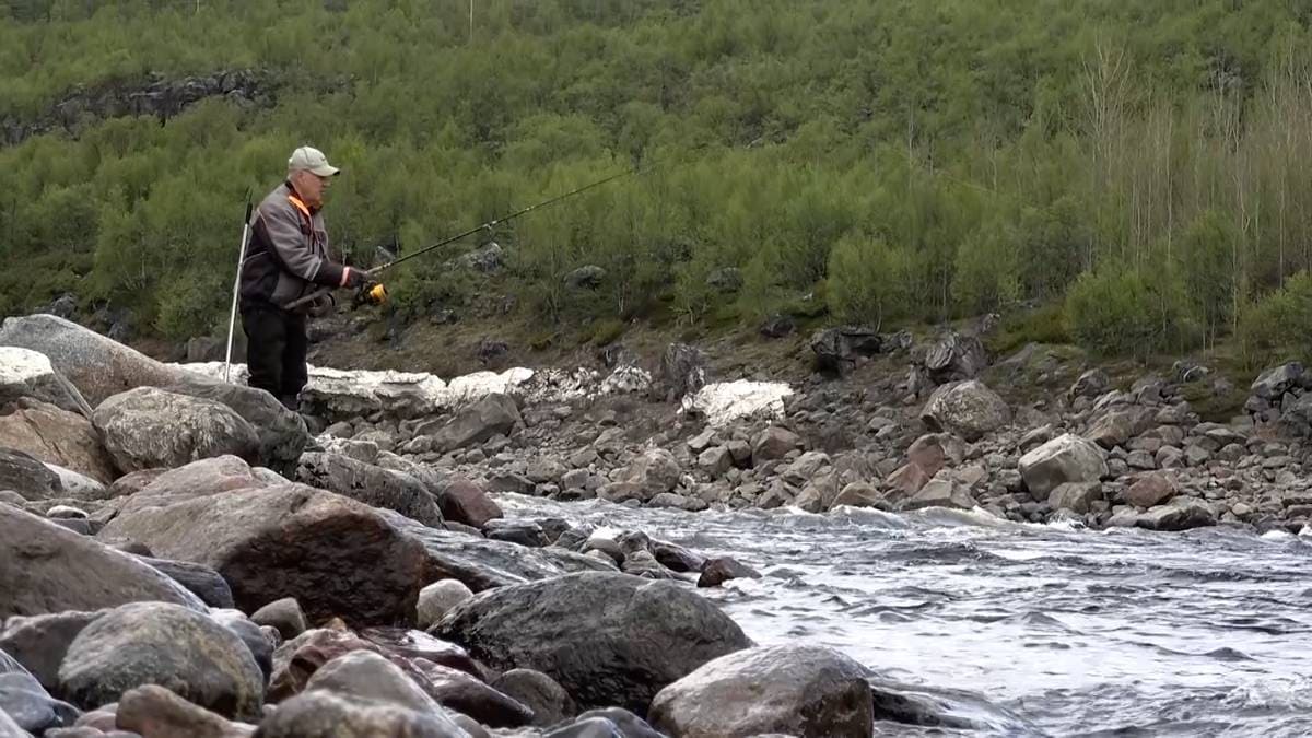 Krevende laksesesong i Agder