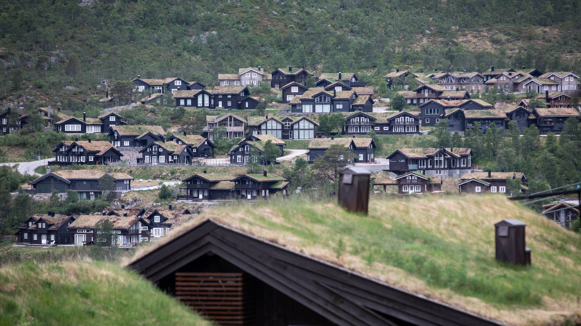 Hytter på Hovden