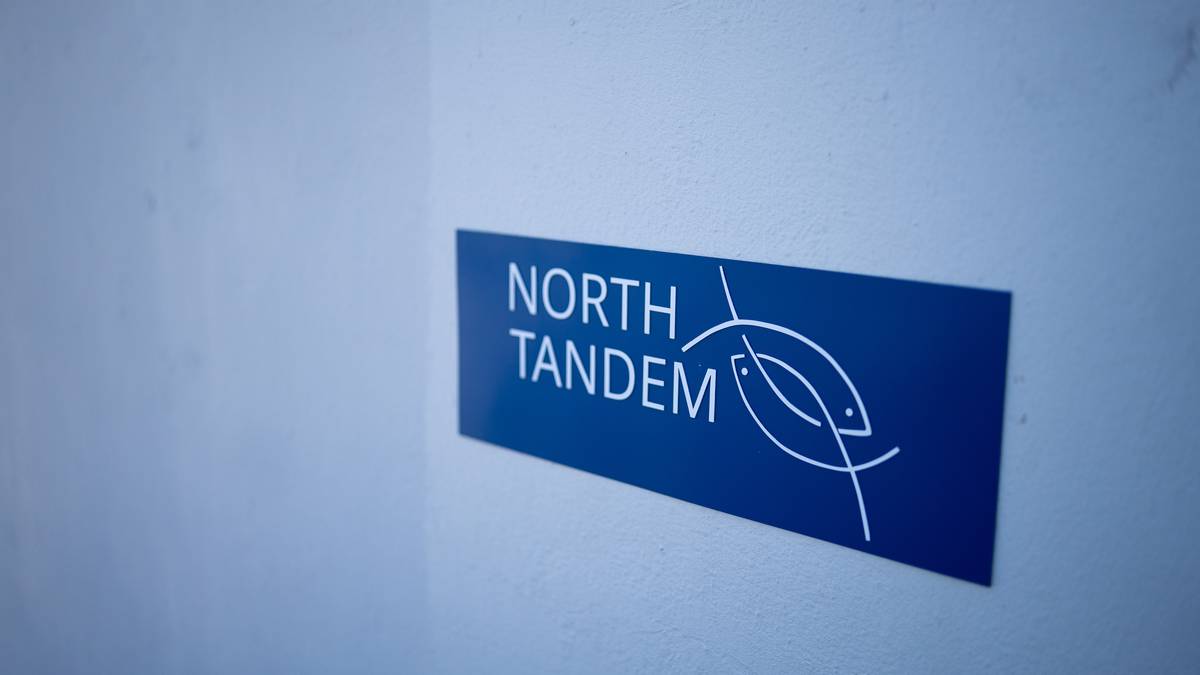 Lakse­konkurs etter NRK-avsløring: Krever 50 millioner kroner