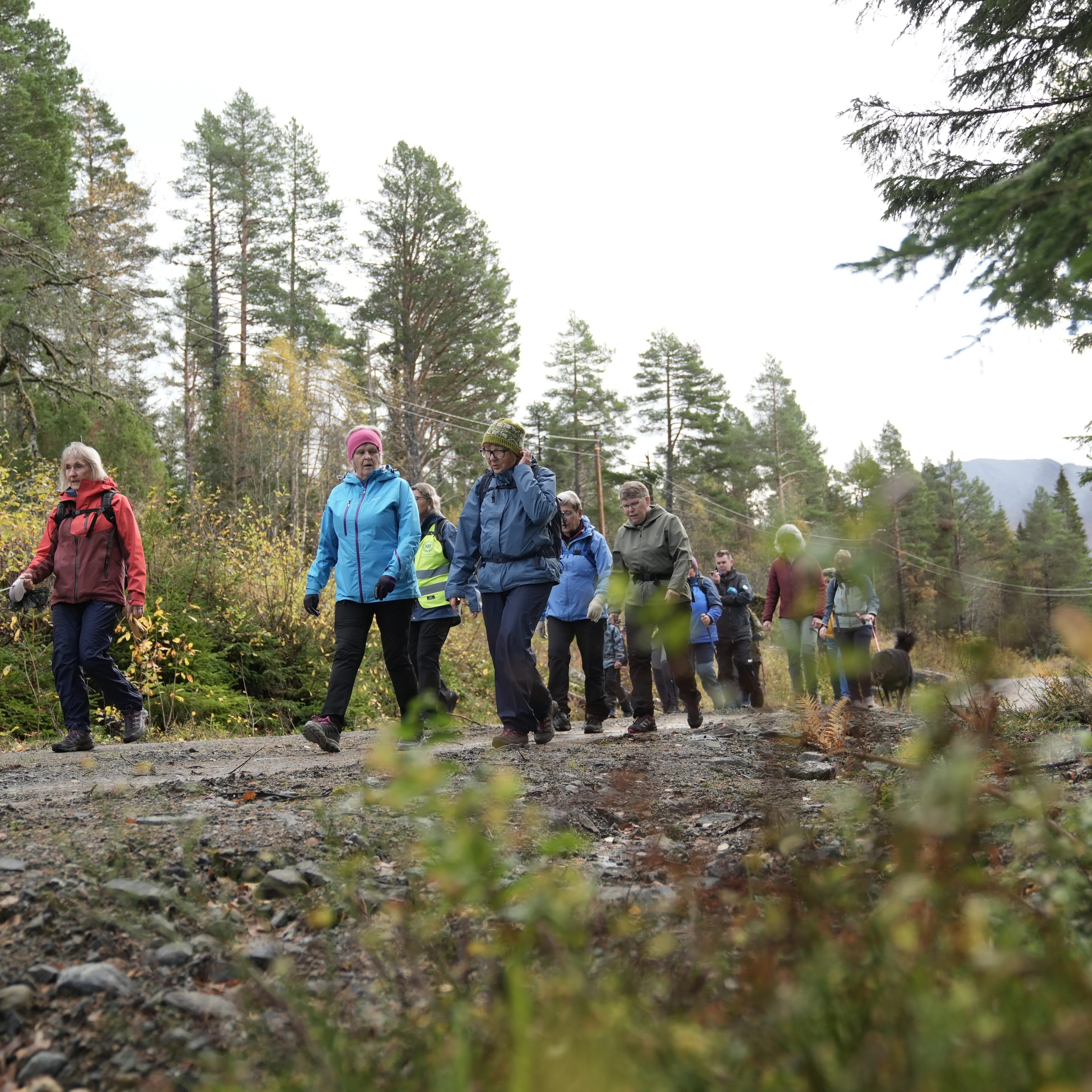 Turgruppa knirk og knak er på tur i Ørsta. Gruppa er en del av norsk revmatikerforbund som føler seg under prioritert i statsbudsjettet.