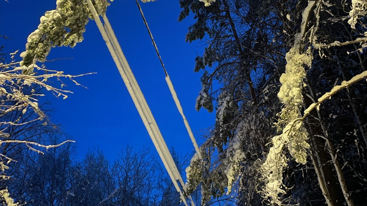 Kraftig snøfall i Agder – flere husstander uten strøm siden nyttår