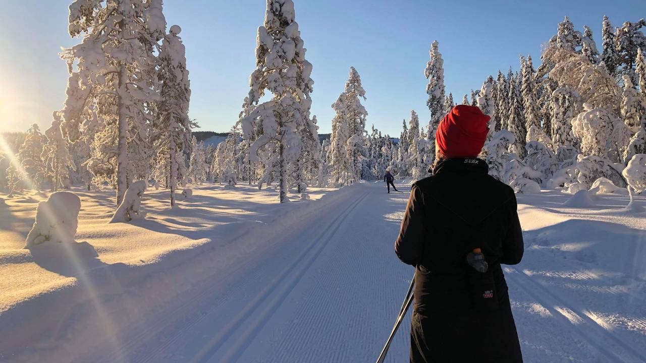 Minus 17 i Lillehammermarka.