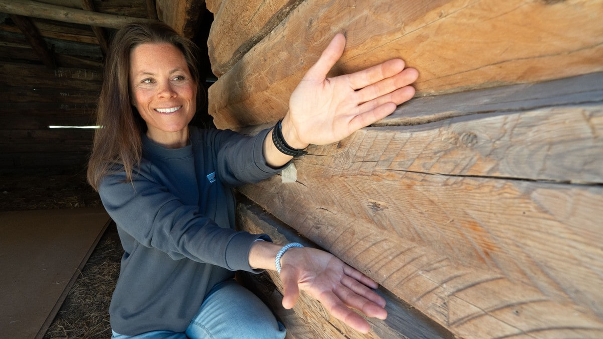 Låve med tømmer frå før svartedauden