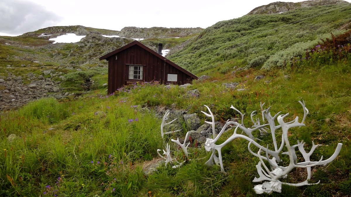 Norsk Industri-hytta: 129 sjøfly-turar til området