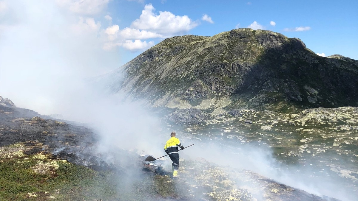 Over 20 pågående gress- og skogbranner i Telemark