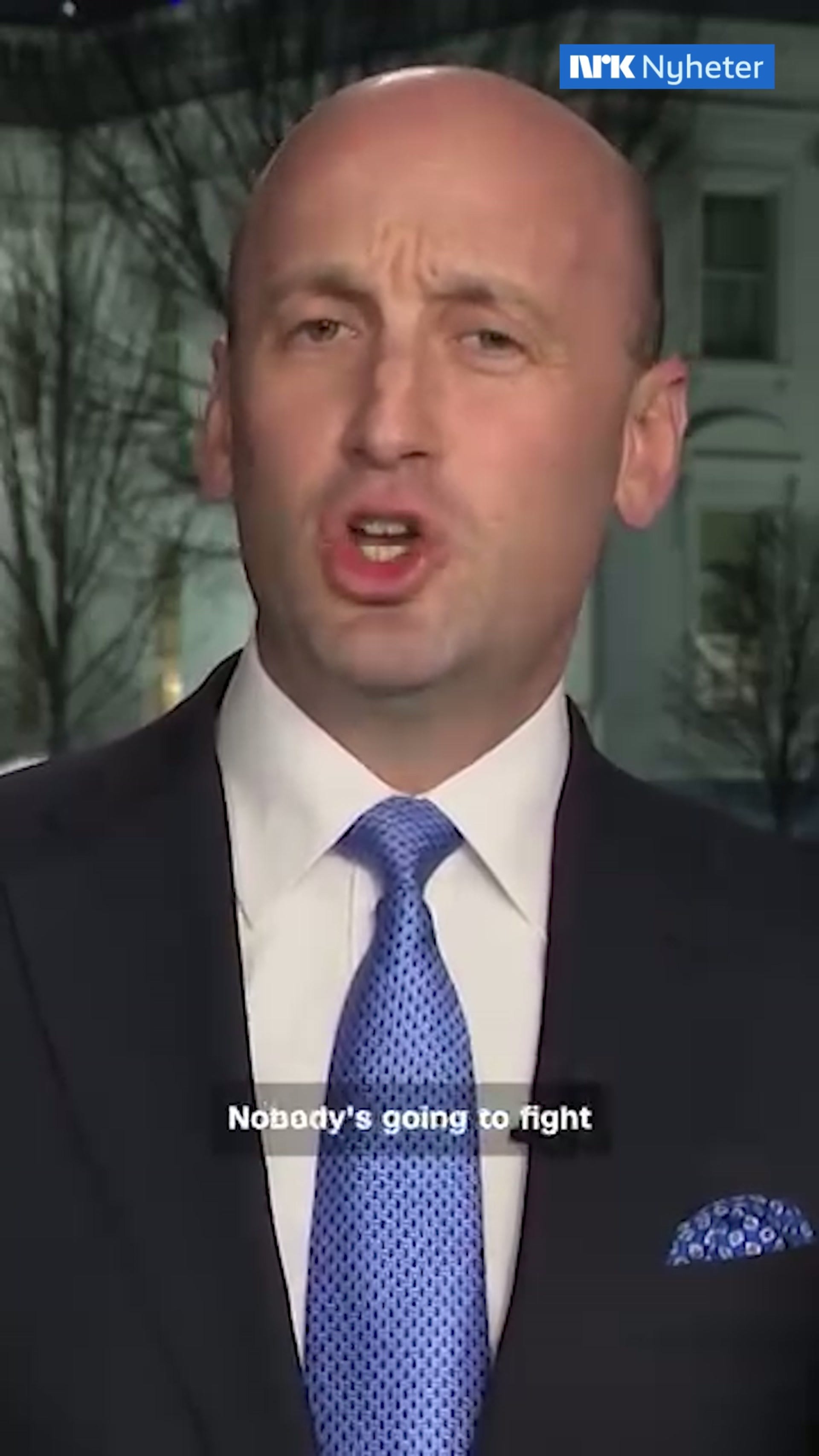 Trumps sjefstrateg: Ingen vil kjempe militært mot USA om Grønland