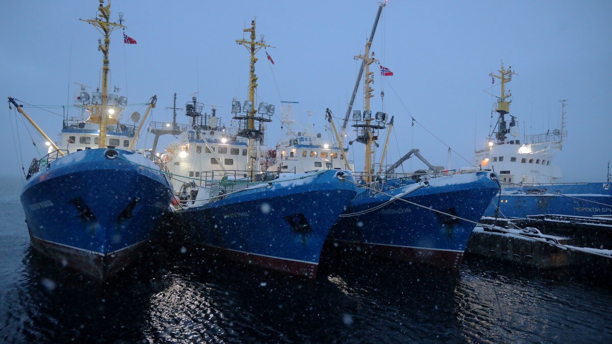 Advarer mot dramatiske konsekvenser hvis unikt torskesamarbeid kollapser