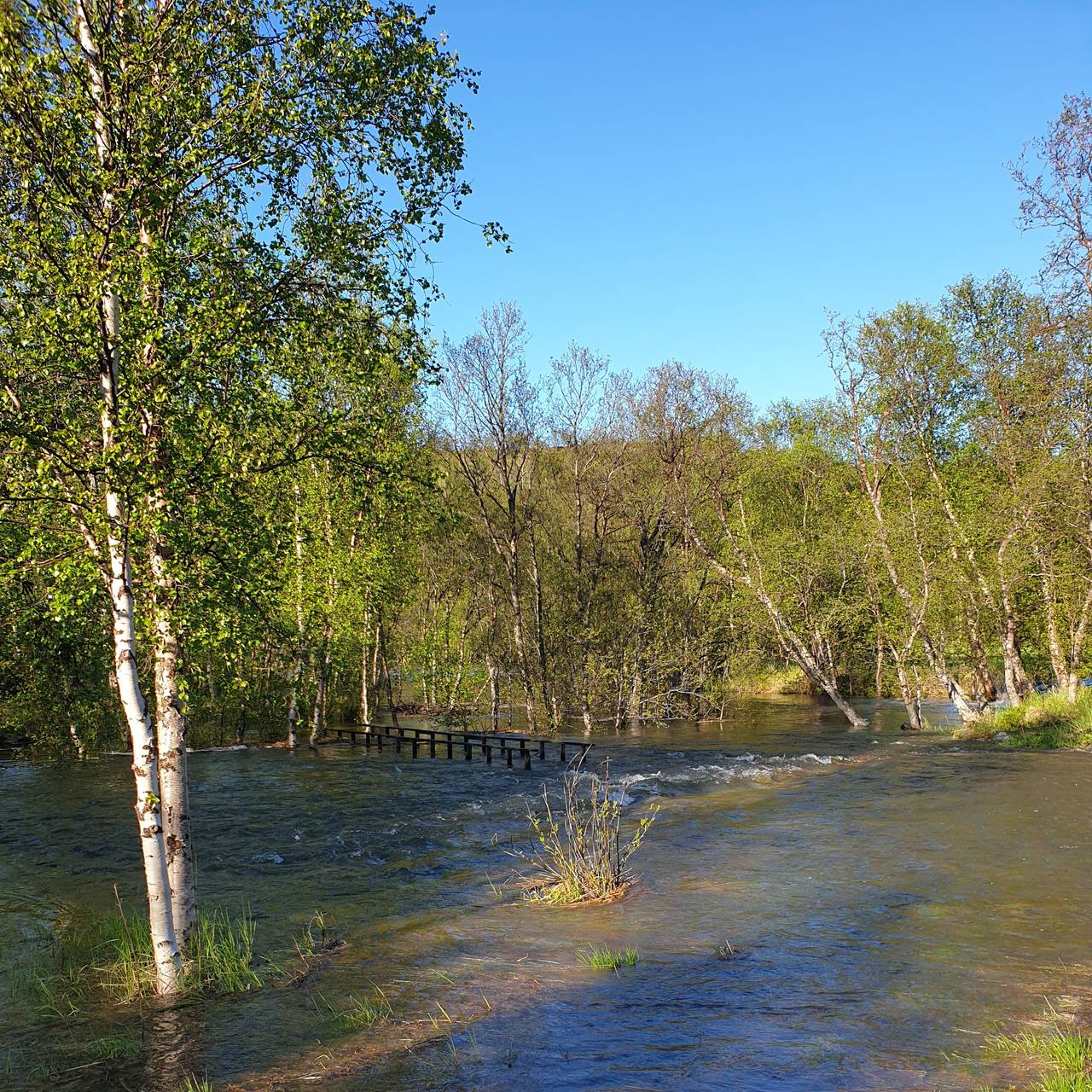 Klemetstadveien under vann, flom porsanger