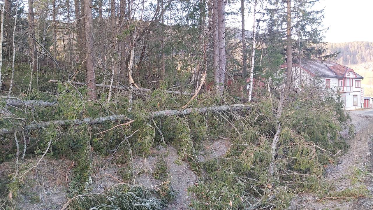 Store ødeleggelser etter uværet.