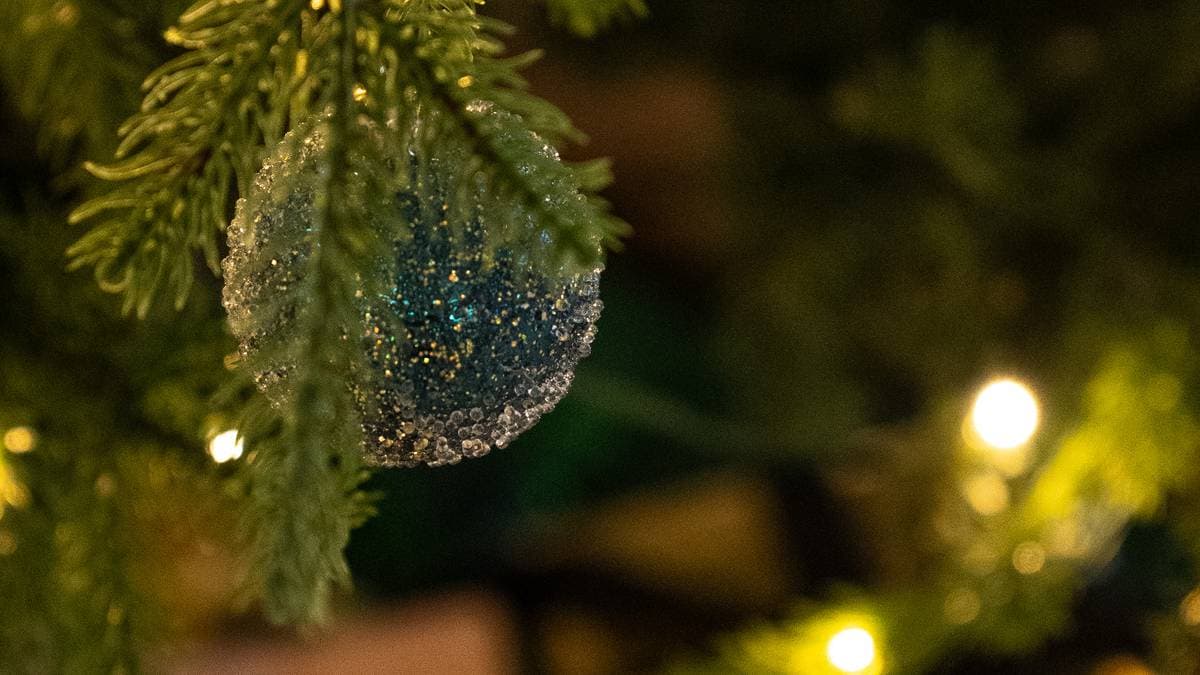 Flere har hogd seg gratis juletre