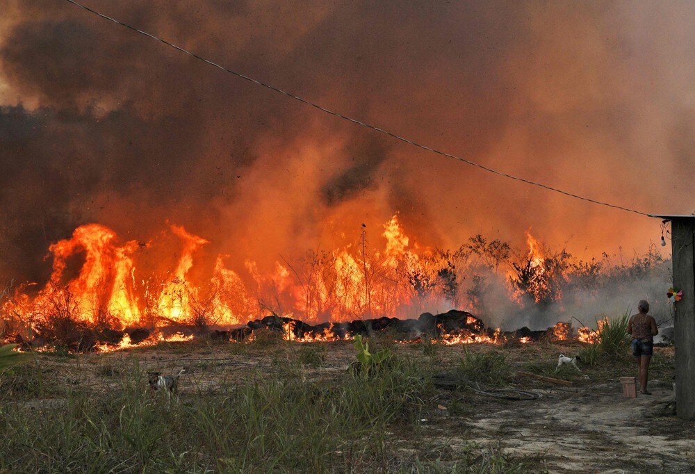 Storebrand med nye krav mot Brasils regjering