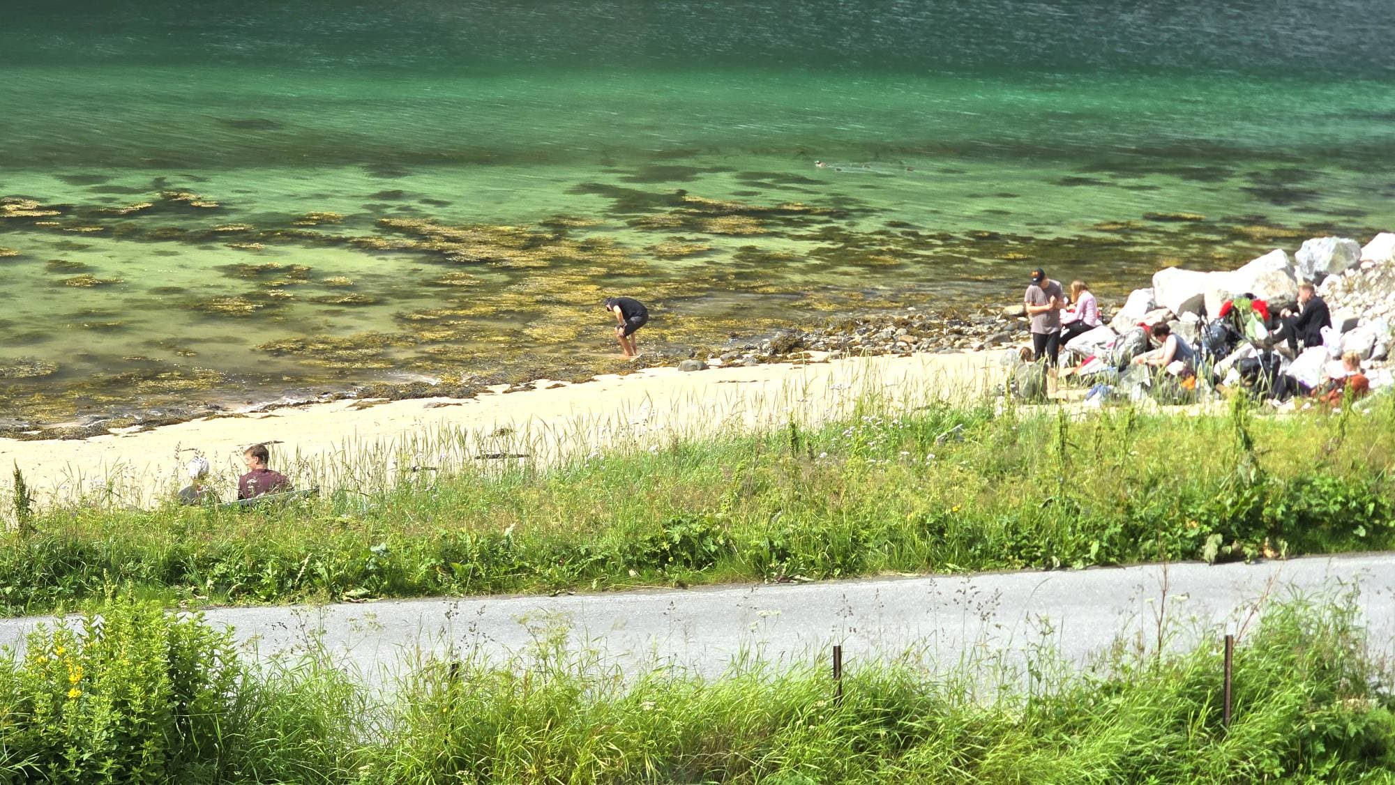 Flere mennesker sitter på en hvit strand og spiser lunsj. I bakgrunn er turkist vann, tang og tare og i forgrunn grønne planter og en asfaltert vei.