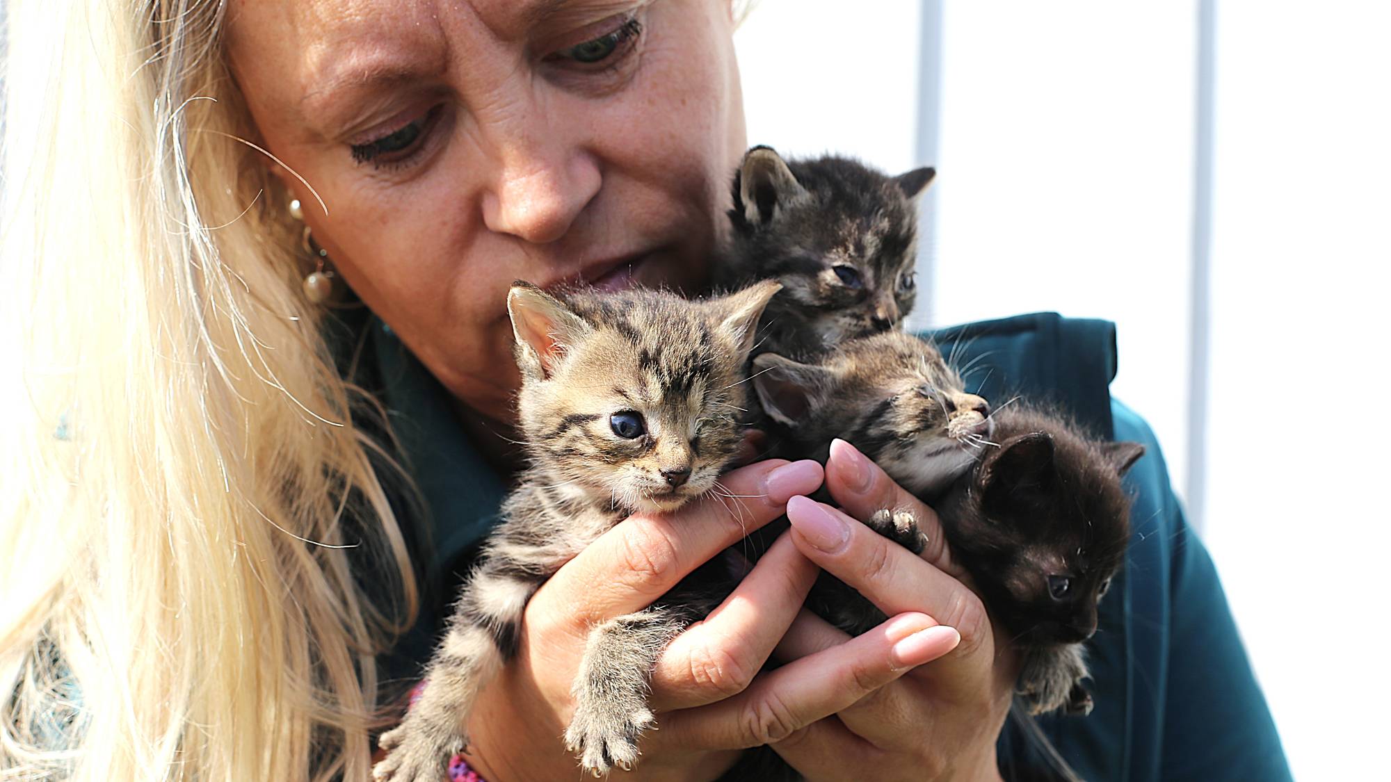 En lys kvinne holder fire kattunger