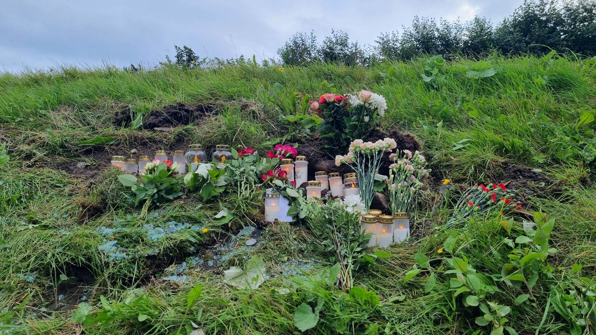 Vegkant med planter og blomster 