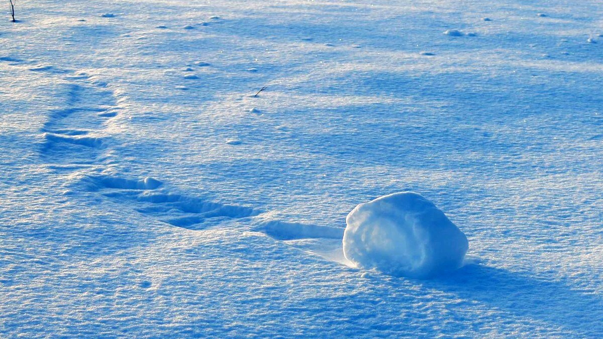 Snøball i Snåsa - Foto: Monika Stokke