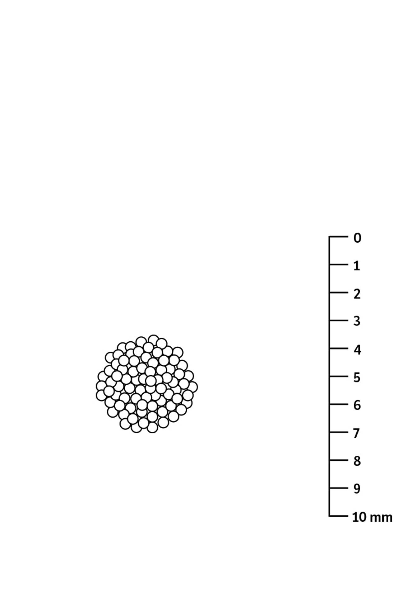 Flåttegg