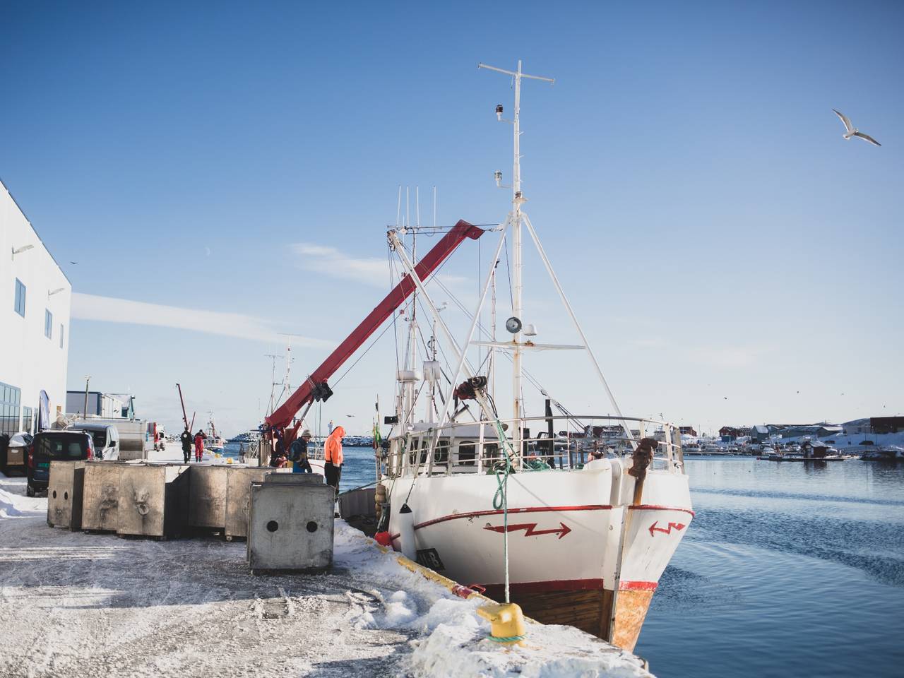 Berlevåg havn
