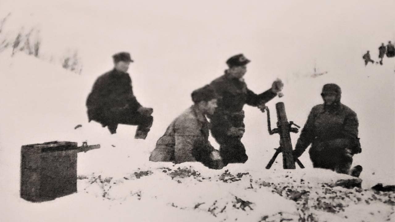 Narvik, nøytralitetsvakt 1940