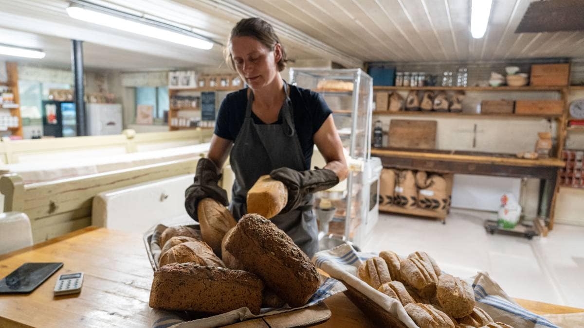 Storsatsing i Buskerud: Skal gjøre kortreist mat til det naturlige valget
