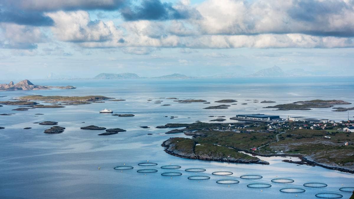 Fiskeoppdrett forureinar norske fjordar kraftig