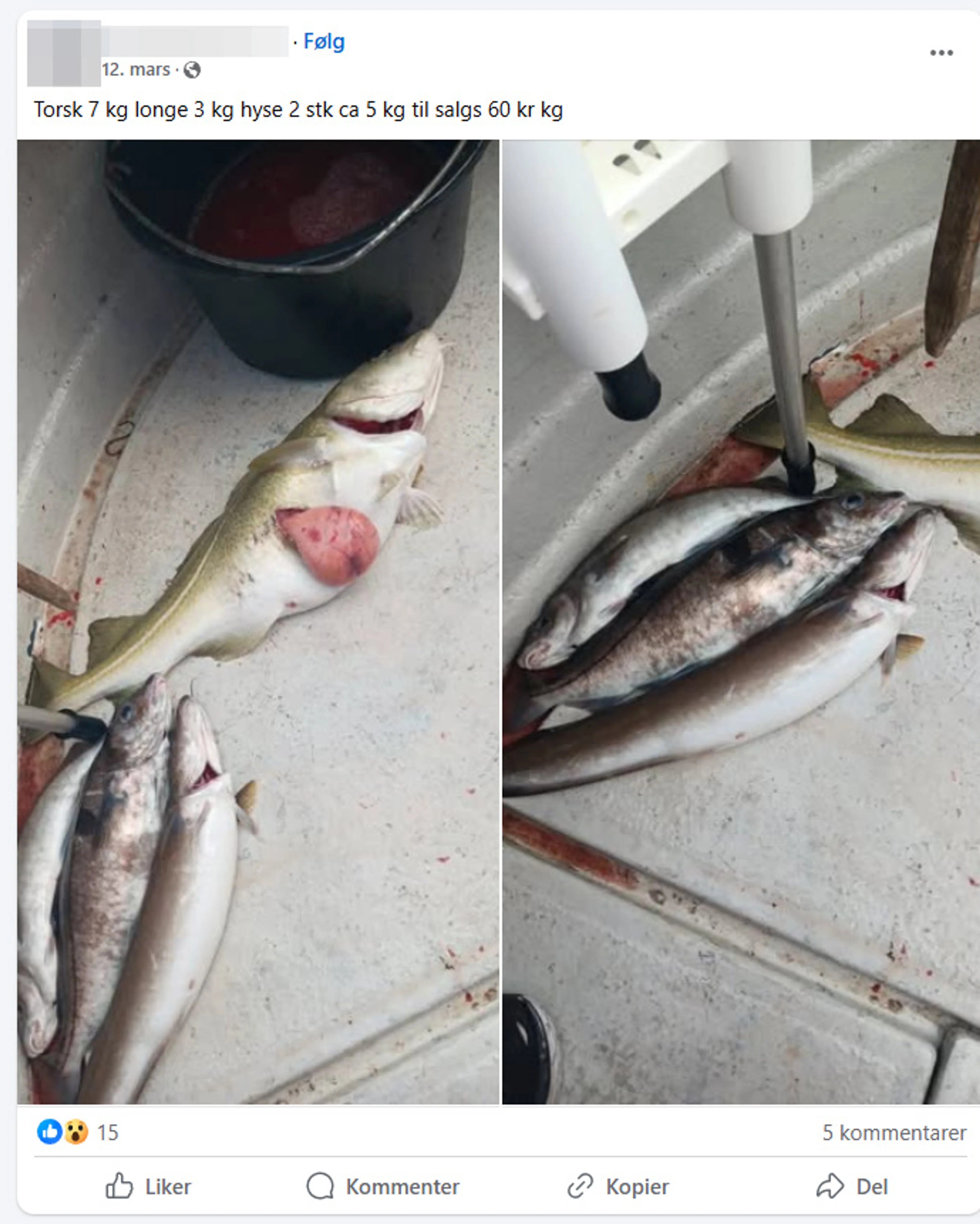 Skjemdump frå Facebook som viser ulovleg sal av fisk