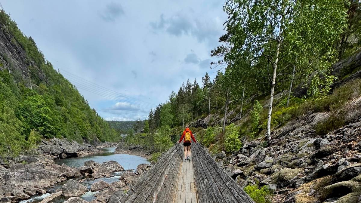 Tømmerrenna får 100.000 fra staten