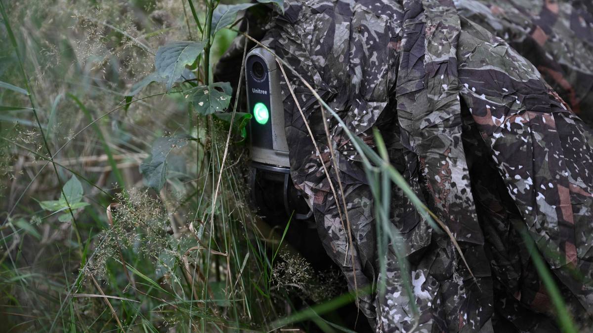 Hevder Ukraina daglig angripes av hackere