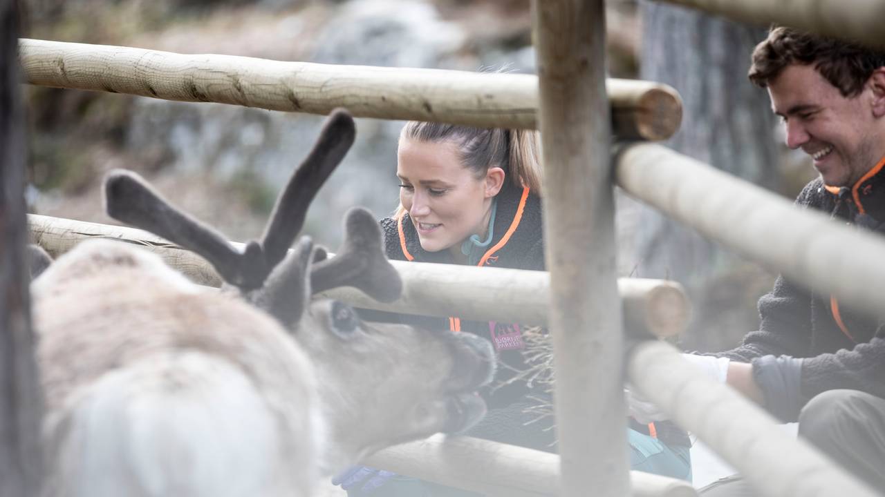 Mia Sofie Sandvold er ny dyrepasser i Bjørneparken i Flå.