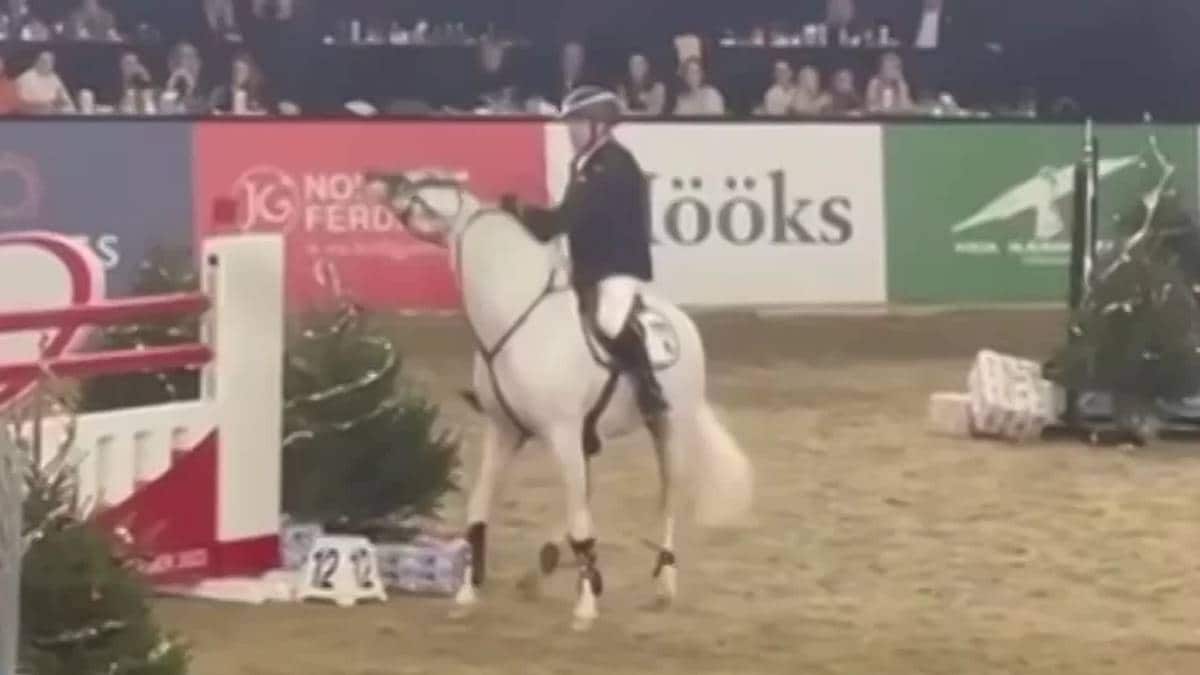 Steiler on the use of whips on horses – NRK Sport – Sports news, results and broadcast schedule
