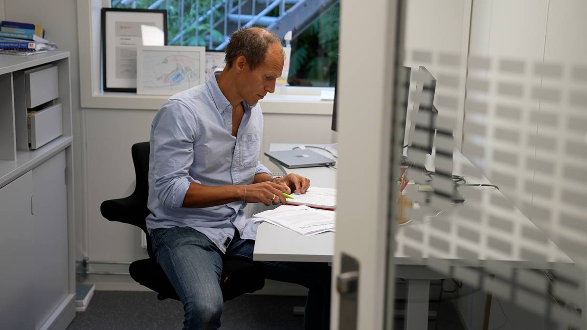 VM-rangling er ikke helsefarlig