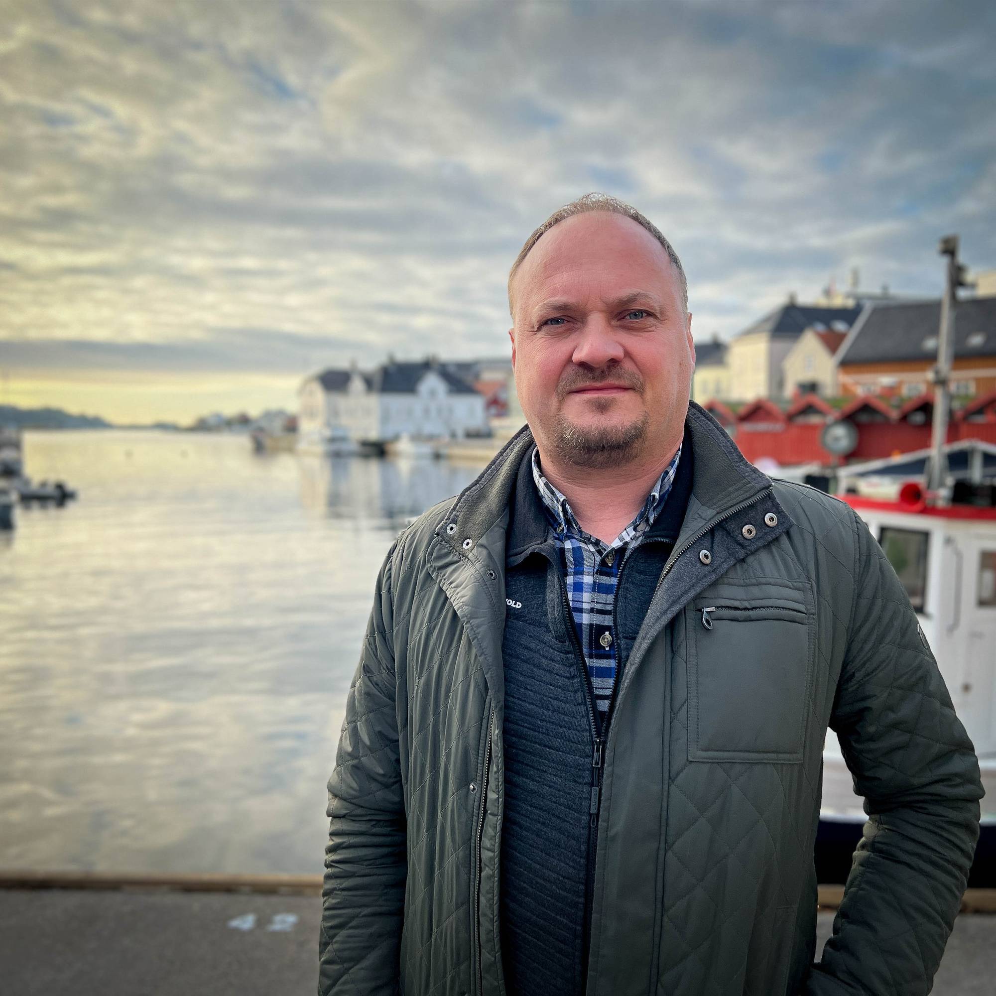 Kraftanalytiker, strømekspert