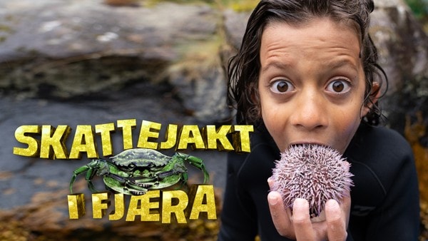 Khaled elskar livet i fjæra. Bli med han og vennane på jakt etter krabber, kråkebollar, fiskar og andre spennande skapningar.