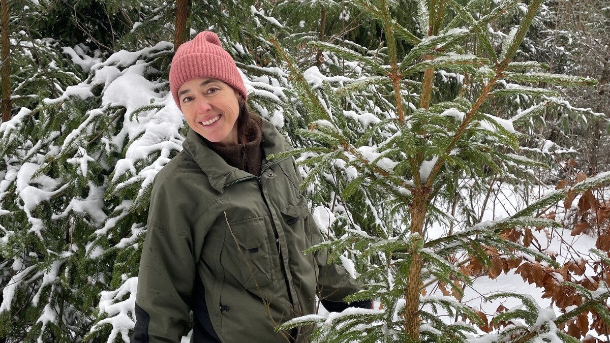 Karine får ikkje ha skogen sin i fred – blir ringd ned av solcelleselskap