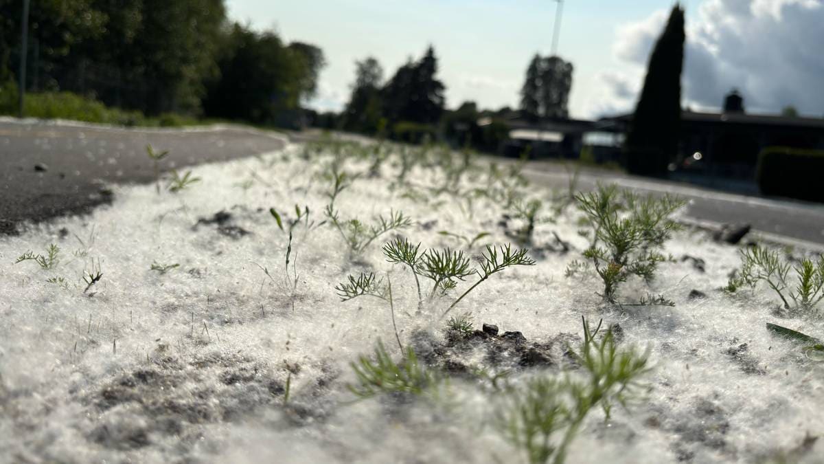 Mystisk værfenomen observert på Østlandet