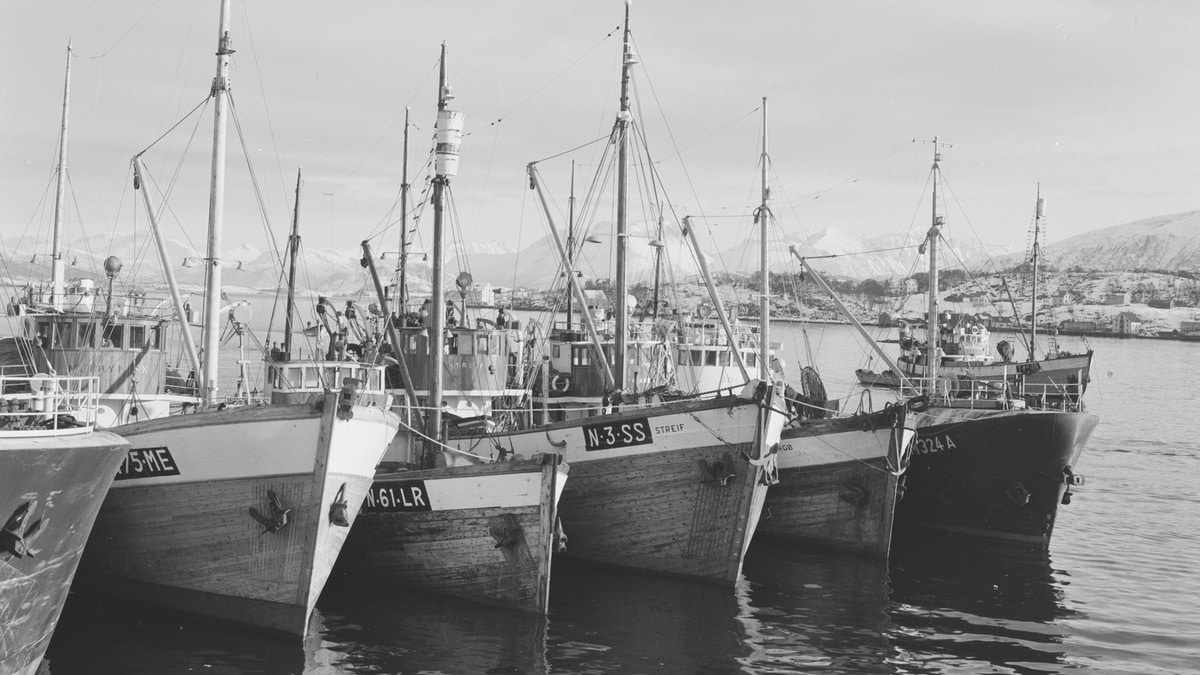 Norges fiskarlag 100 år i dag