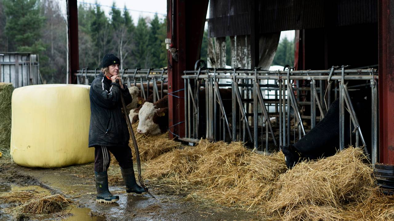 Linda foran tomme båser