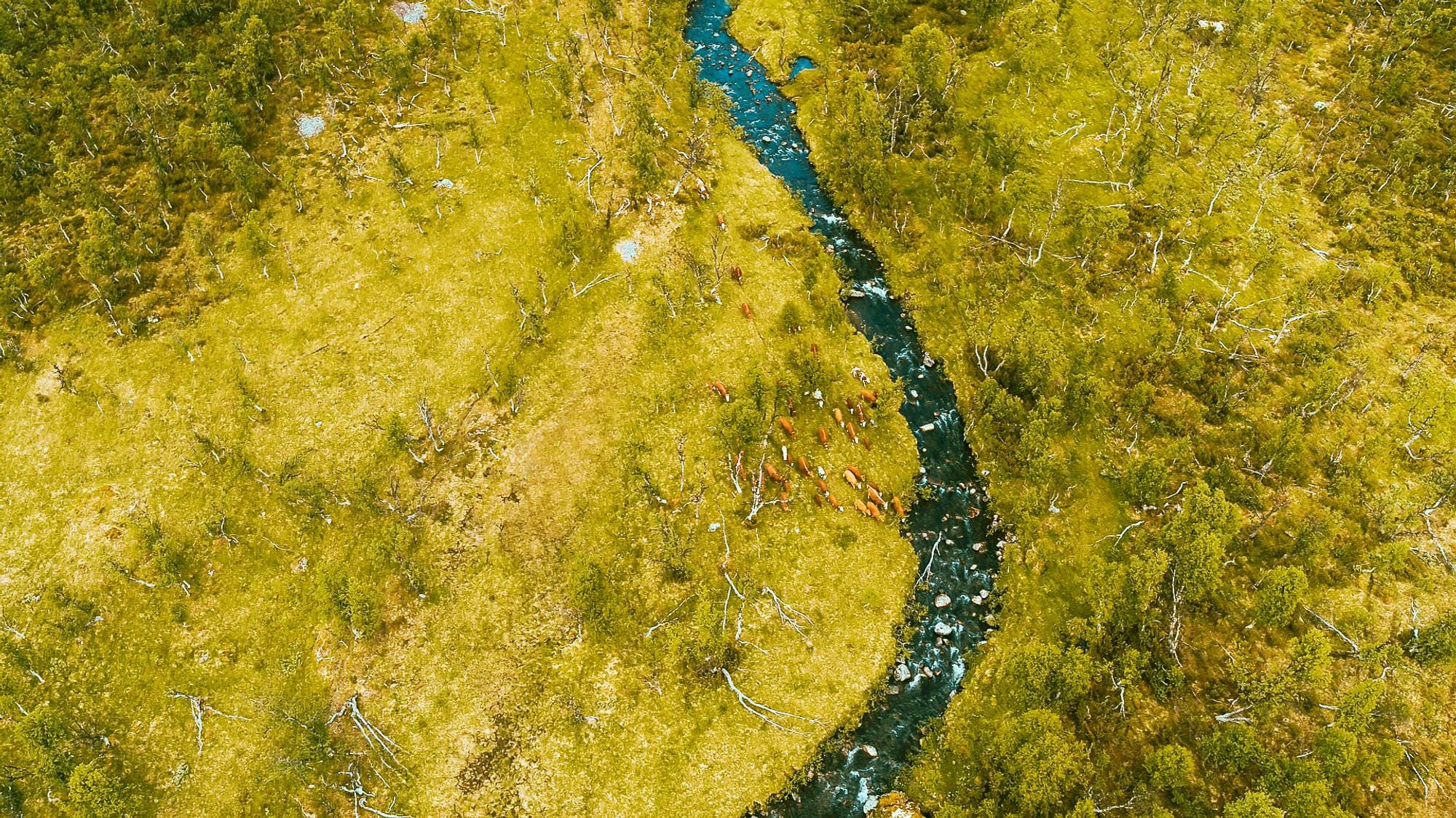 Drone utmarksbeite Moseng gård