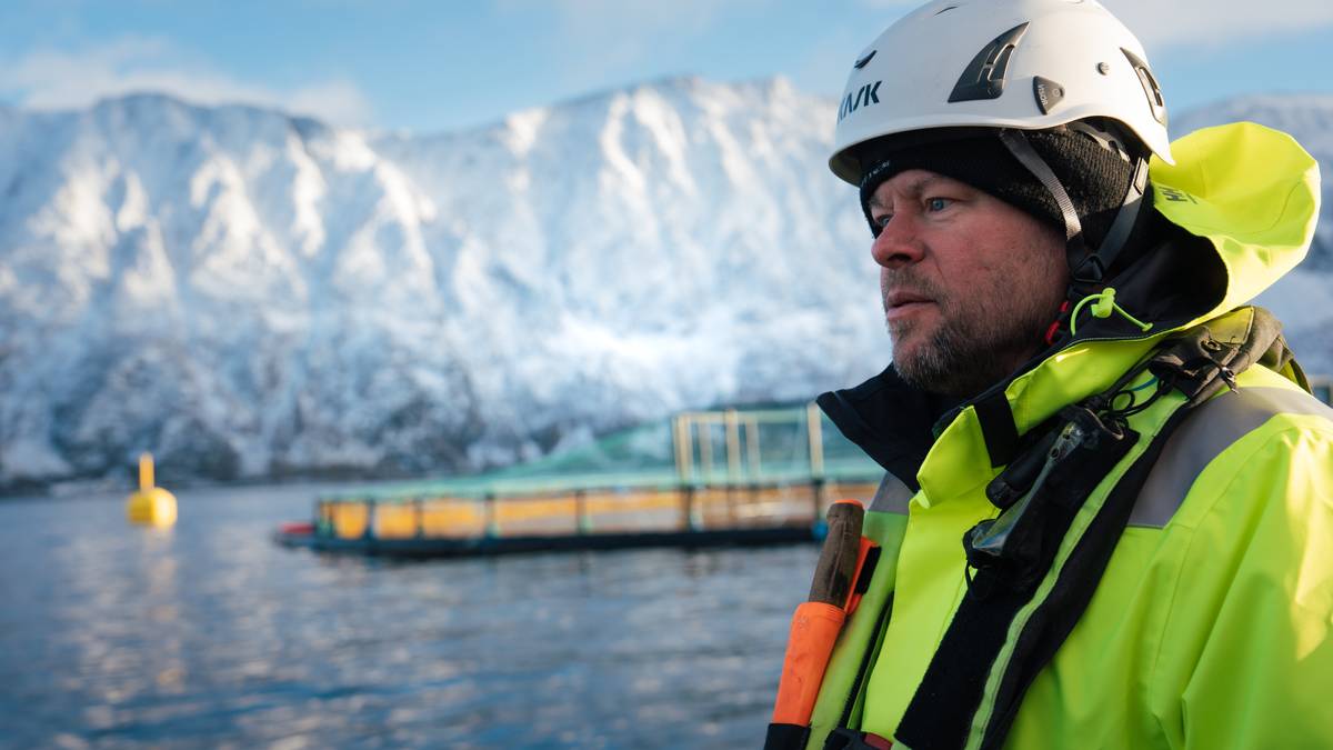 Benn-Levi håper på hjelp fra fiskerne: – Fisken lider