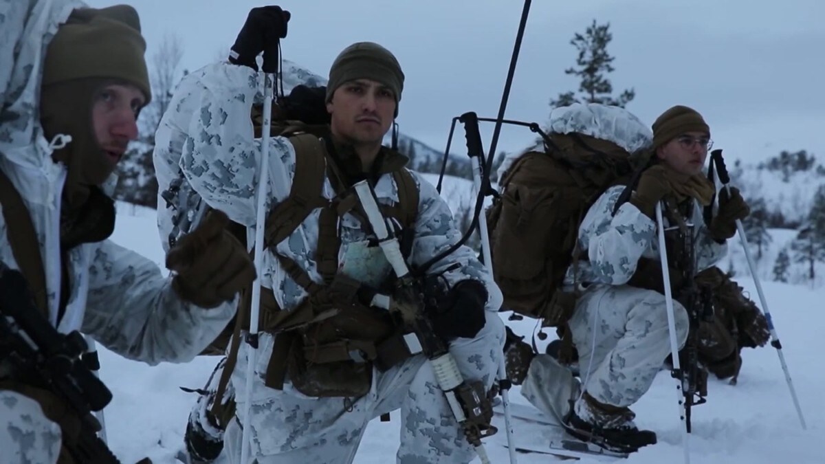 Høyre vil vurdere grensegjerde mot Russland