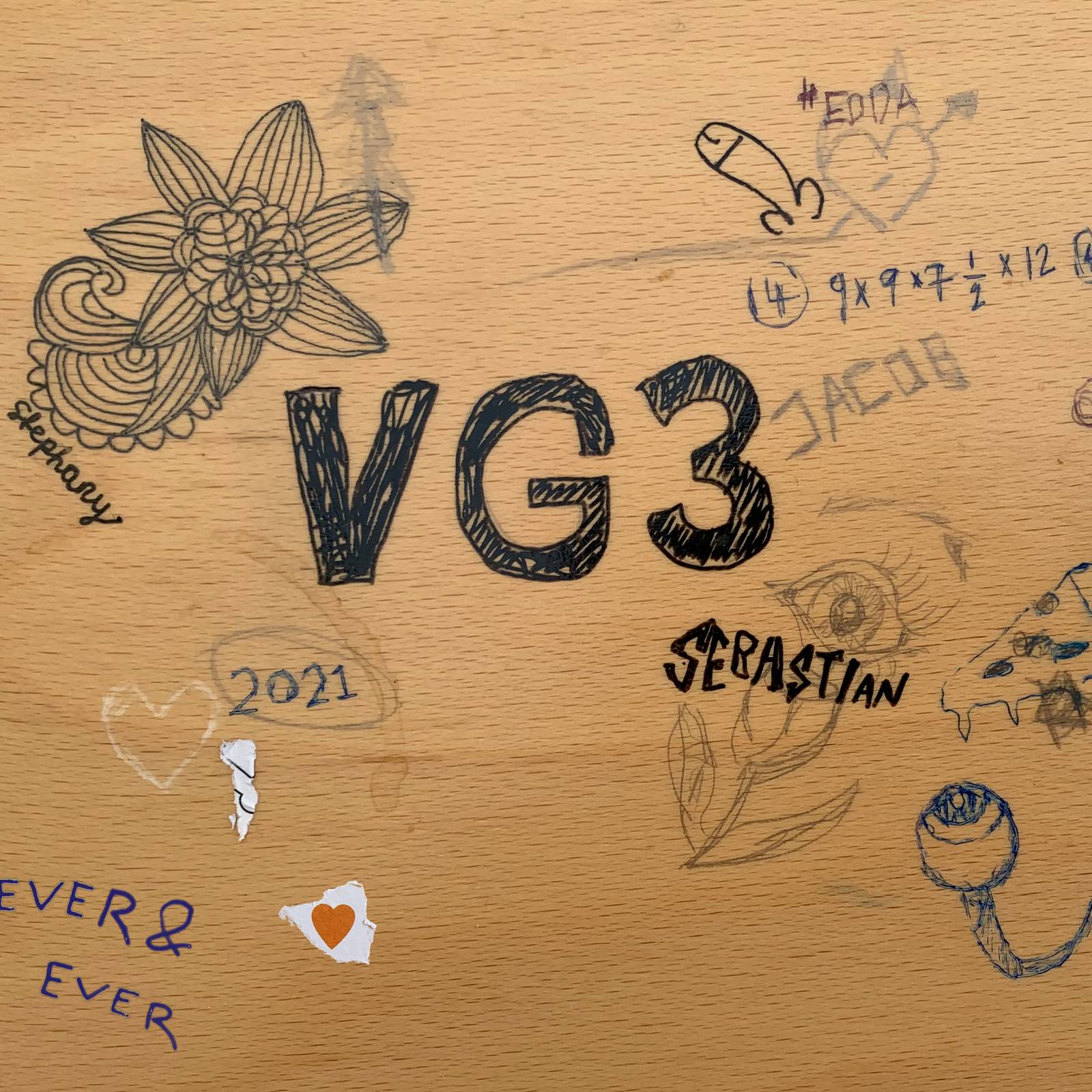 VG3