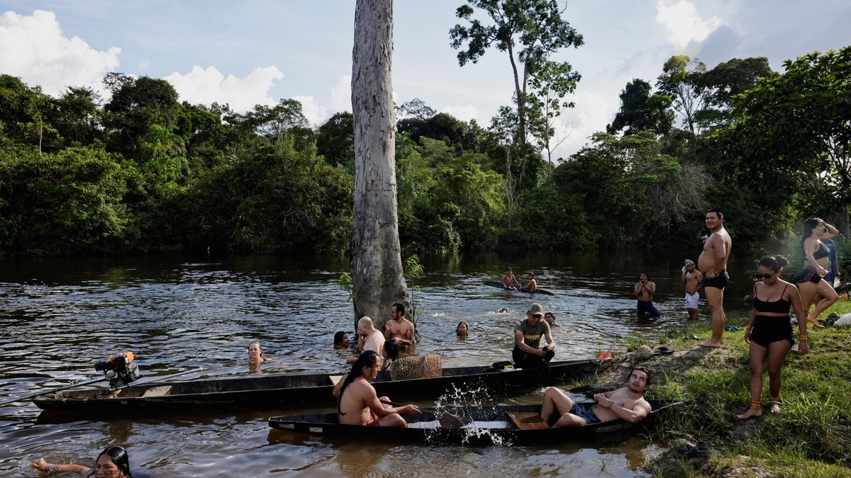 Tørke og skogbrann ødelegger leveområdene: – Et problem vi har stått overfor i flere år