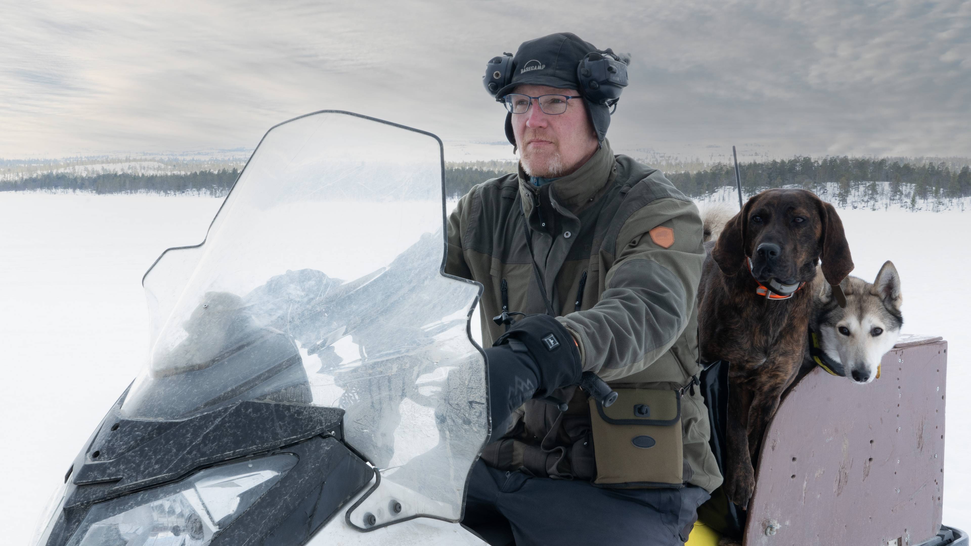 En mann sitter på en snøskuter med to hunder