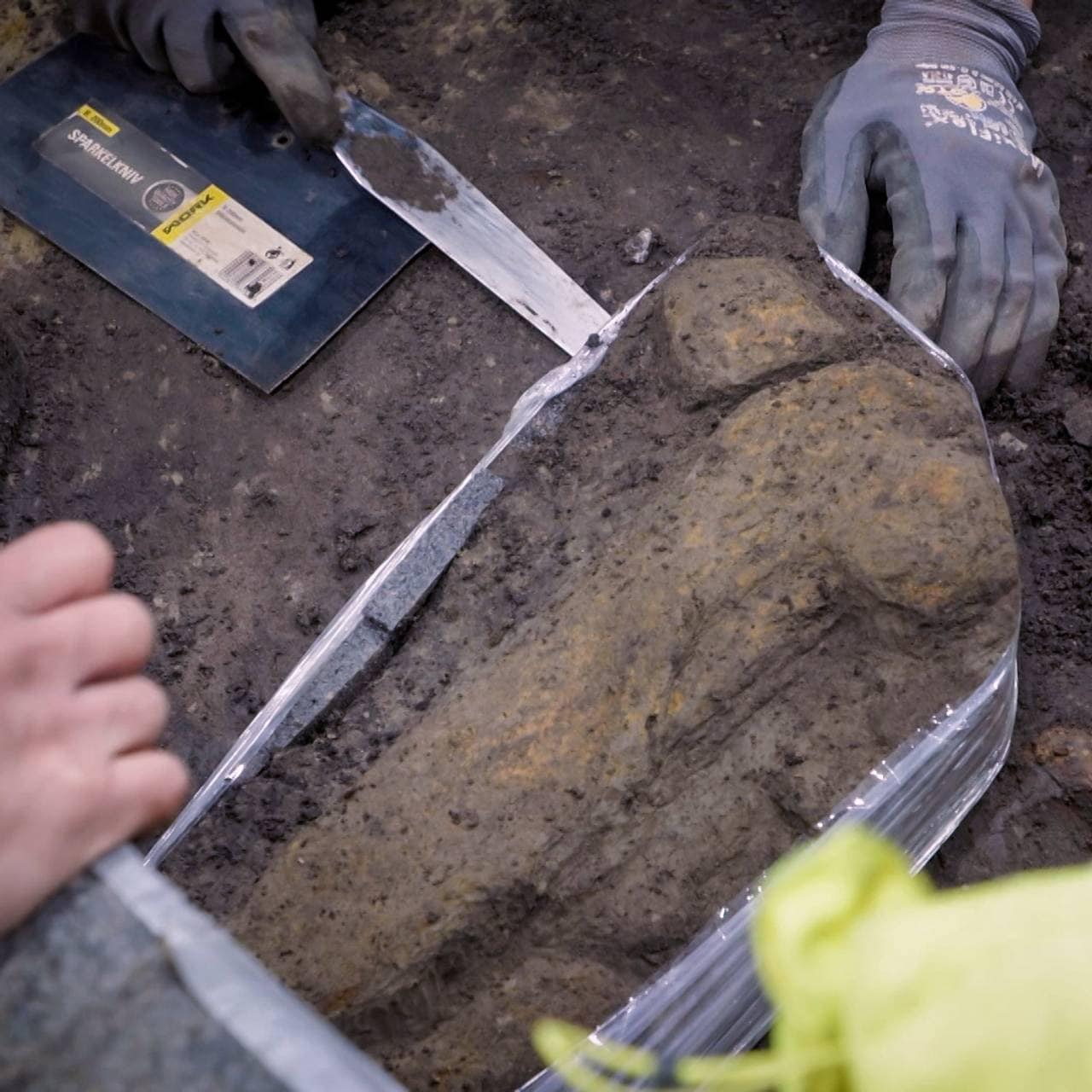 Beinrester av et dyr funnet i gravkammeret i Gjellestadskipet