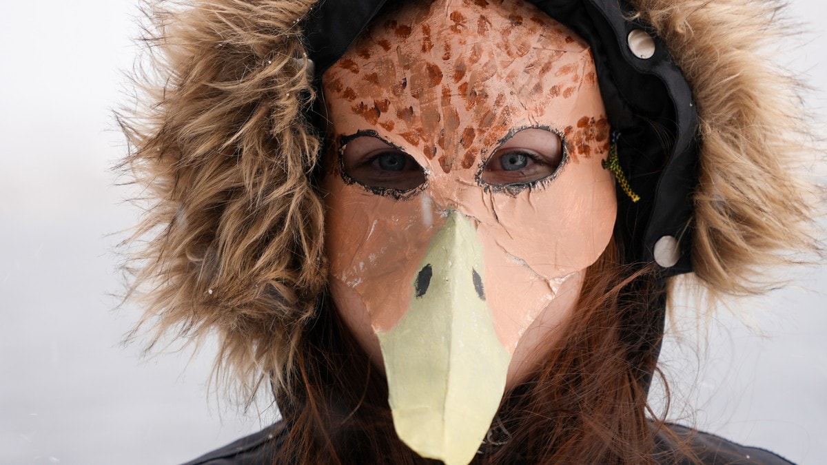 Tok på seg masker for å redde truet sjøfugl