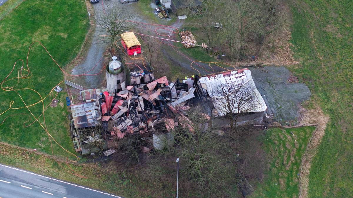 108 griser omkom i fjøsbrann: Kommer med krystallklar advarsel til bøndene