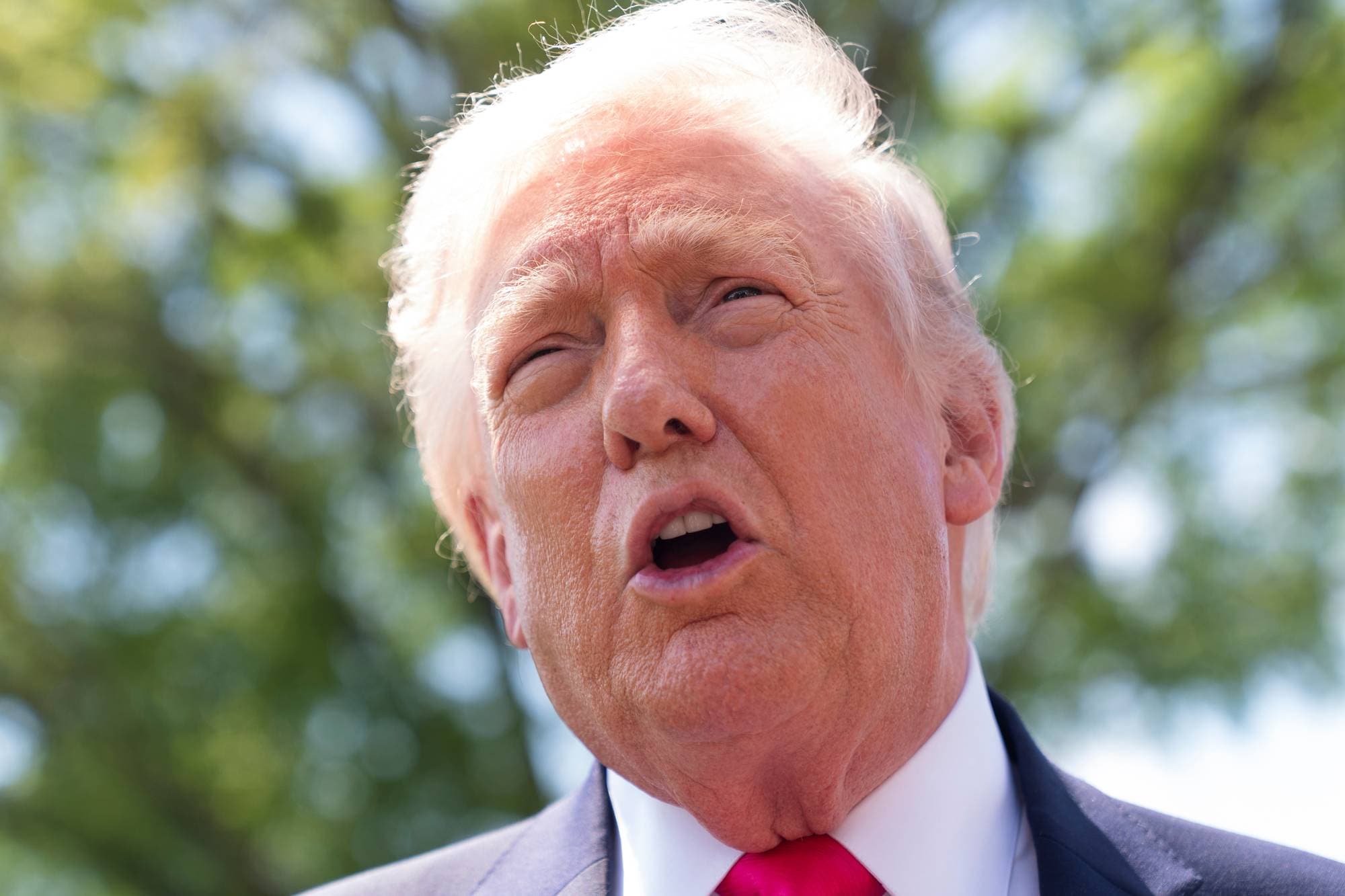 Donald Trump med åpen munn, et tre i bakgrunnen