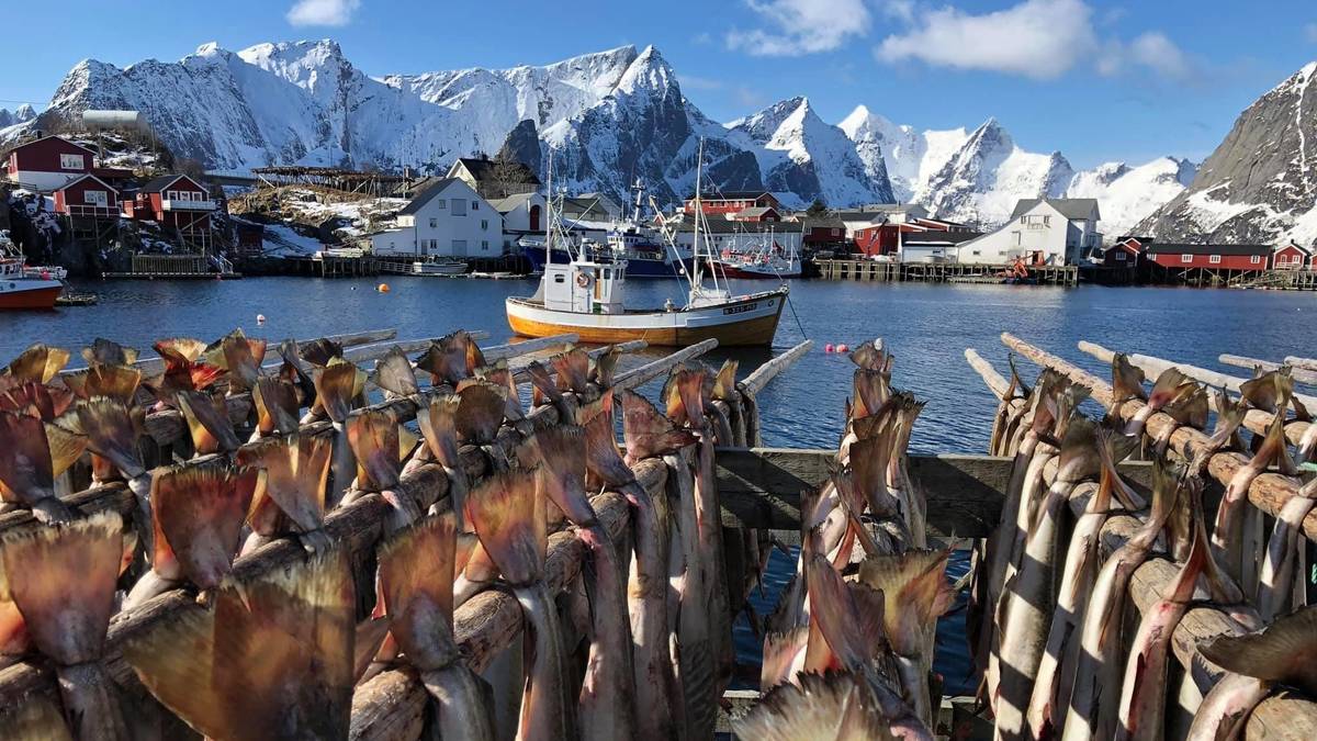 Vil opne fleire oljefelt: – Norsk olje og gass gjer verda til ein betre stad