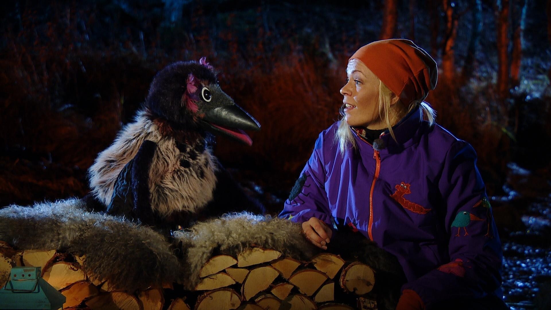 Kr keklubben NRK TV